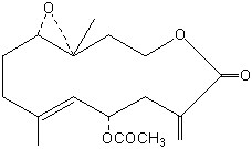Chrysanthemum cinerariaefolium (Pyrethrum)