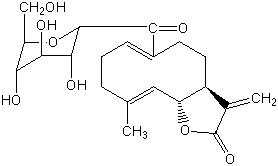 Taraxacum officinale (Dandelion)