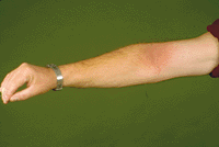 Repeated open Application Test