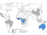 Distributie Buruli ulcus