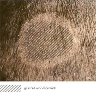 Het maken van een KOH preparaat