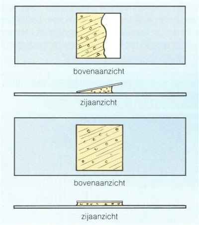 Het maken van een KOH preparaat