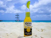 Corona bier