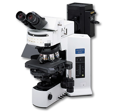 Donker veld microscopie