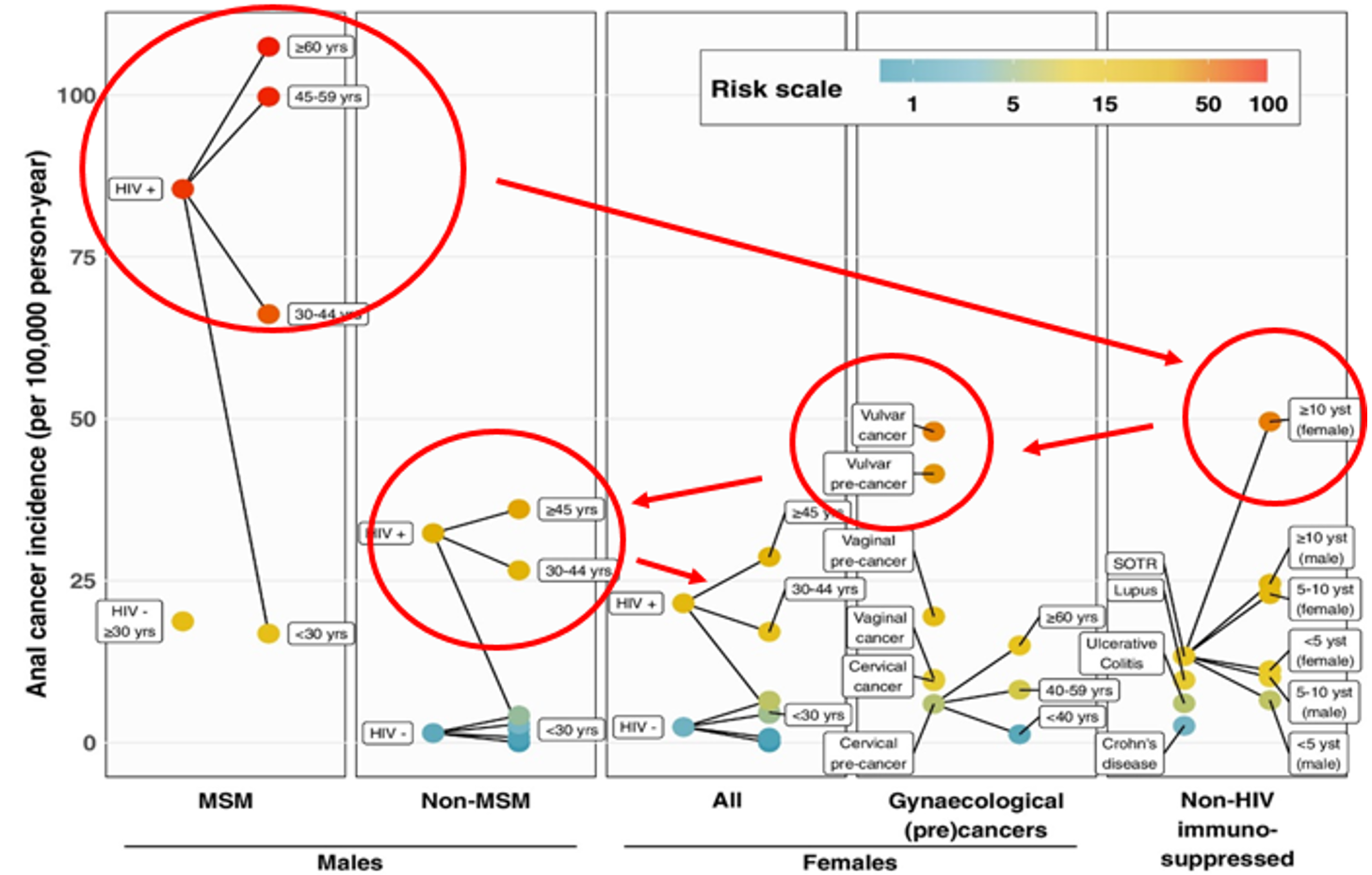 Gradaties van anale intraepitheliale neoplasie