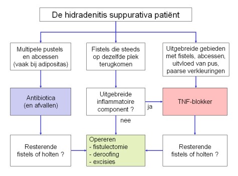 Flowchart therapie voor hidradenitis suppurativa (click on photo to enlarge) [source: www.huidziekten.nl]