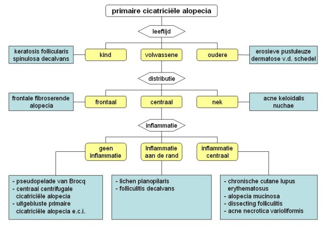 Indeling scarring alopecia 