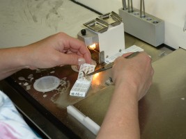 Editing a skin biopsy - in formalin