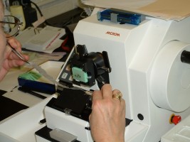 Editing a skin biopsy - in alcohol