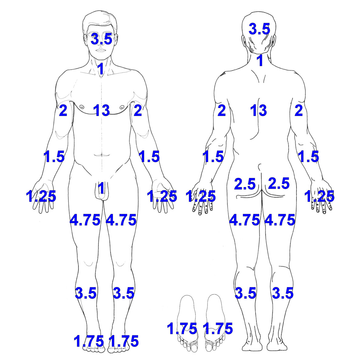 Body Surface Area (BSA)