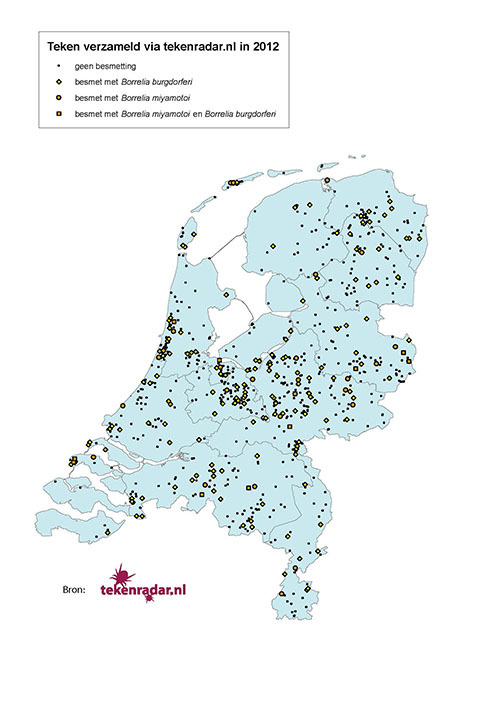 Borrelia miyamotoi distributie
