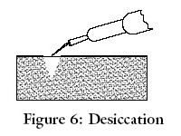 Electro-dessicatie en fulguratie