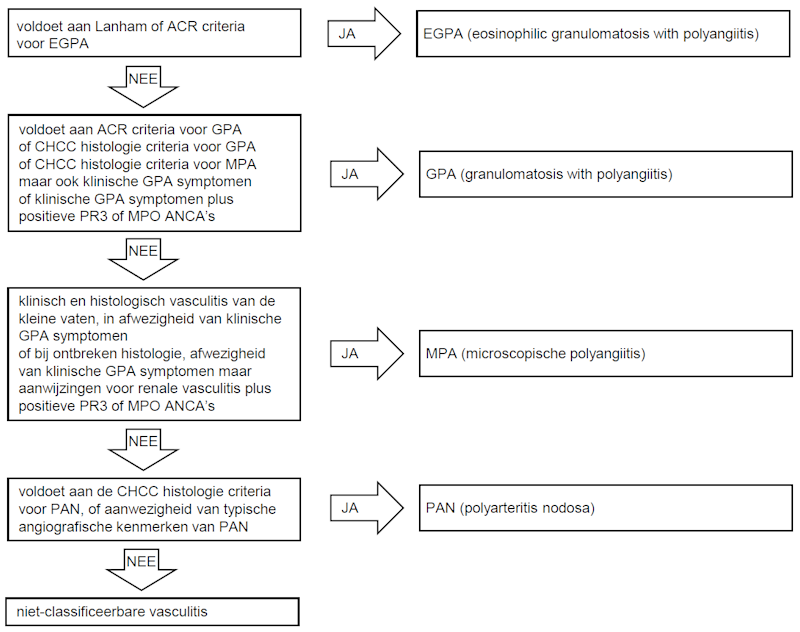 Flowchart diagnose polyarteritis nodosa