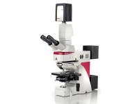 Immunofluorescentie microscopie (IF)