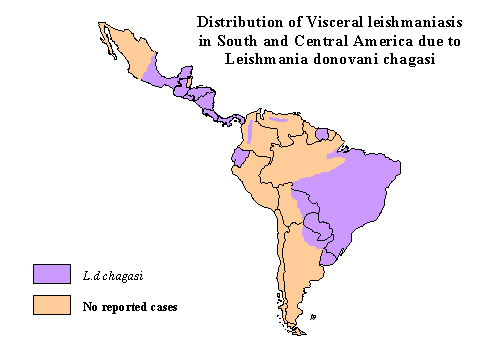 Leishmania distributie