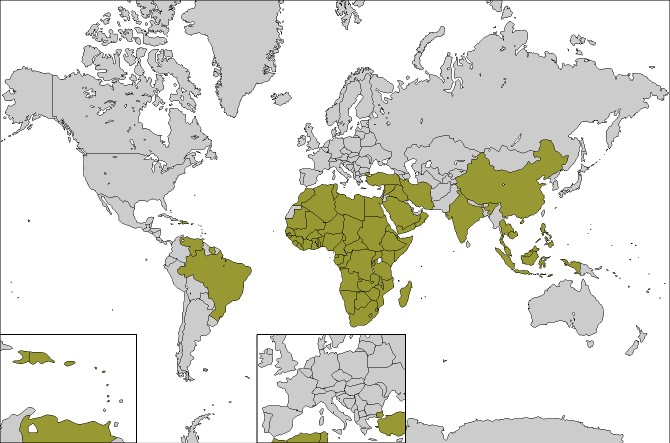 Verspreiding van Schistosomiasis over de wereld