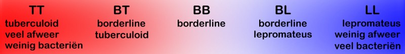 Het spectrum van lepra van tuberculoid naar lepromateus