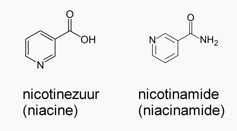 Vitamine B3 (niacine, nicotinezuur, en niacinamide, nicotinamide)