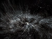 Hoofdroos (pityriasis capitis)