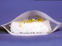 Lucilia sericata larven