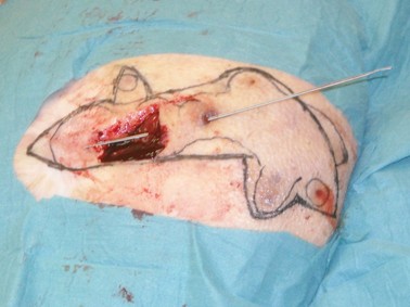 Dubbele katrolhechting