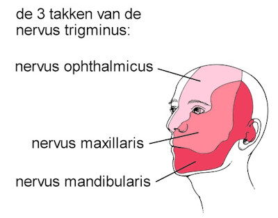 Gordelroos gelaat nervus trigeminus