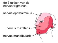 Shingles facial trigeminal nerve