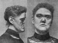 Zadelneus, saddle nose